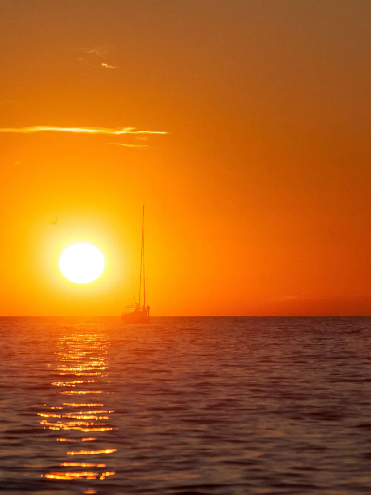  Porec THEMENBILD - URLAUB IN KROATIEN, ein Boot fährt dem Sonnenuntergang entgegen, aufgenommen am 03.07.2014 in Porec, Kroatien // a boat travels into the sunset at Porec, Croatia on 2014/07/03. Pictures 2014, PhotoCredit: / JFK *** Porec THEME PICTURE HOLIDAY IN CROATIA, a boat travels towards the sunset, taken on 03 07 2014 in Porec, Croatia a boat travels into the sunset at Porec, Croatia on 2014 07 03 Pictures 2014, PhotoCredit JFK PUBLICATIONxNOTxINxAUT EP_fei