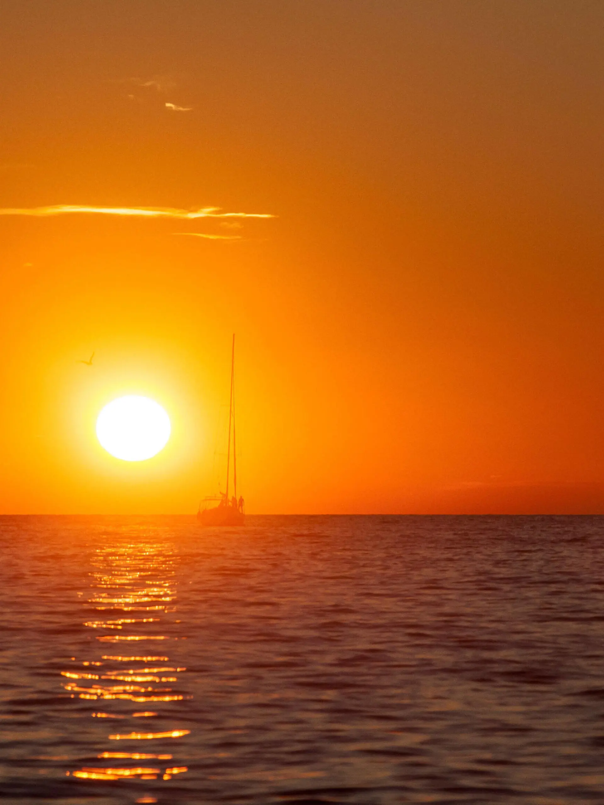  Porec THEMENBILD - URLAUB IN KROATIEN, ein Boot fährt dem Sonnenuntergang entgegen, aufgenommen am 03.07.2014 in Porec, Kroatien // a boat travels into the sunset at Porec, Croatia on 2014/07/03. Pictures 2014, PhotoCredit: / JFK *** Porec THEME PICTURE HOLIDAY IN CROATIA, a boat travels towards the sunset, taken on 03 07 2014 in Porec, Croatia a boat travels into the sunset at Porec, Croatia on 2014 07 03 Pictures 2014, PhotoCredit JFK PUBLICATIONxNOTxINxAUT EP_fei