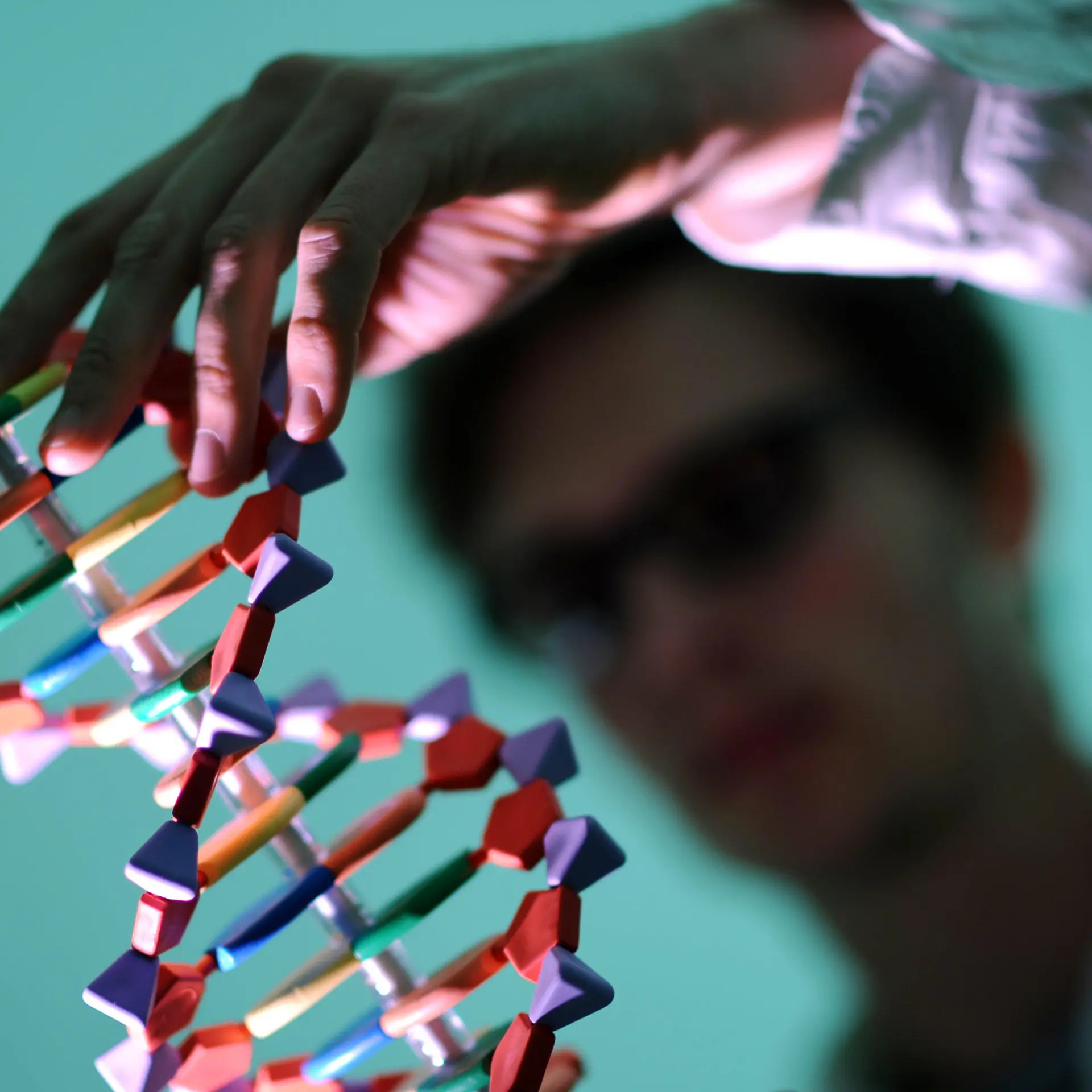 Replikation (DNA) Logo von Replikation (DNA)