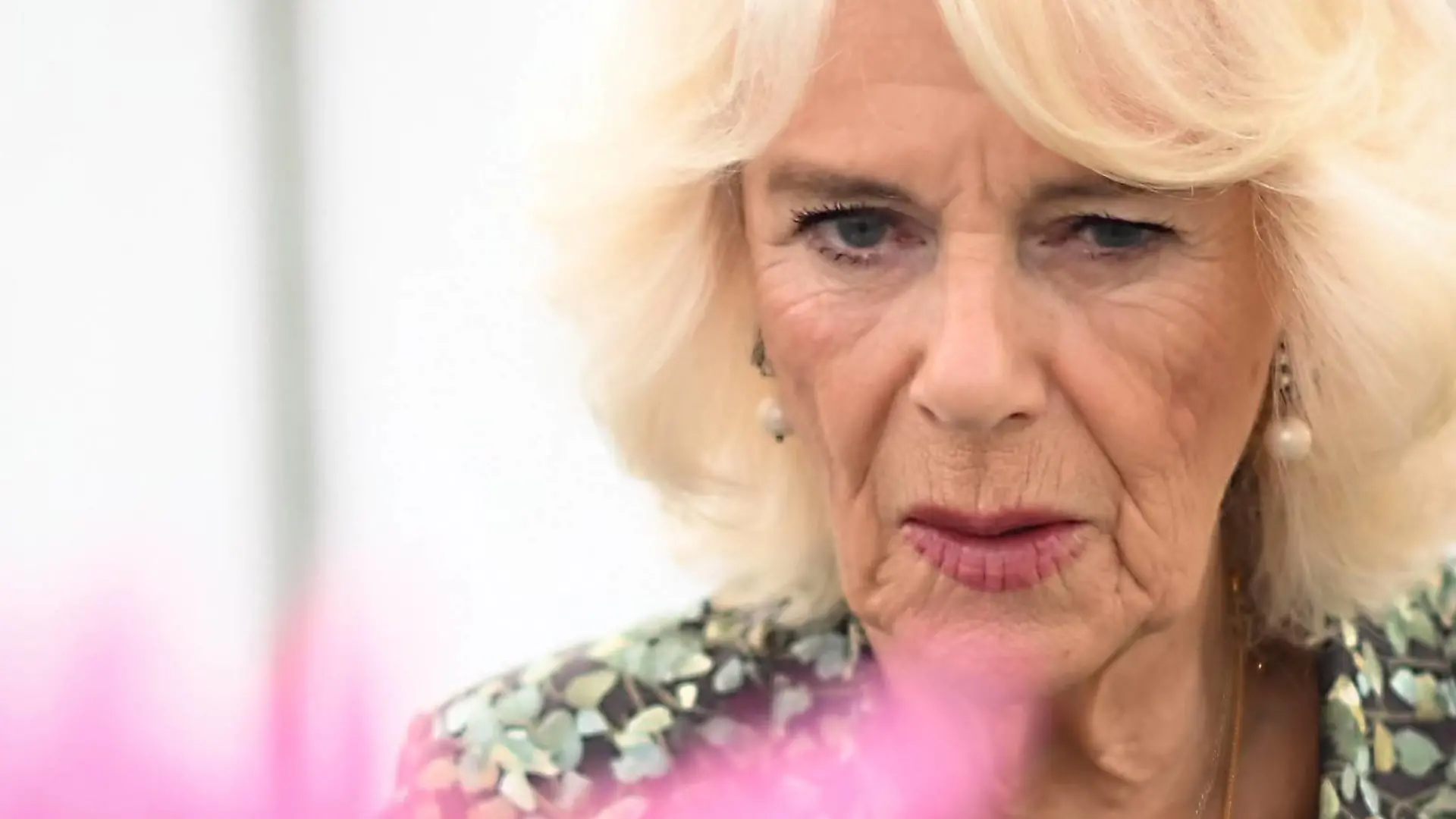 . 26/07/2023. Sandringham , United Kingdom. King Charles III and Queen Camilla at the Sandringham Flower Show, United Kingdom. PUBLICATIONxINxGERxSUIxAUTxHUNxONLY xi-Imagesx/xPoolx IIM-24597-0059