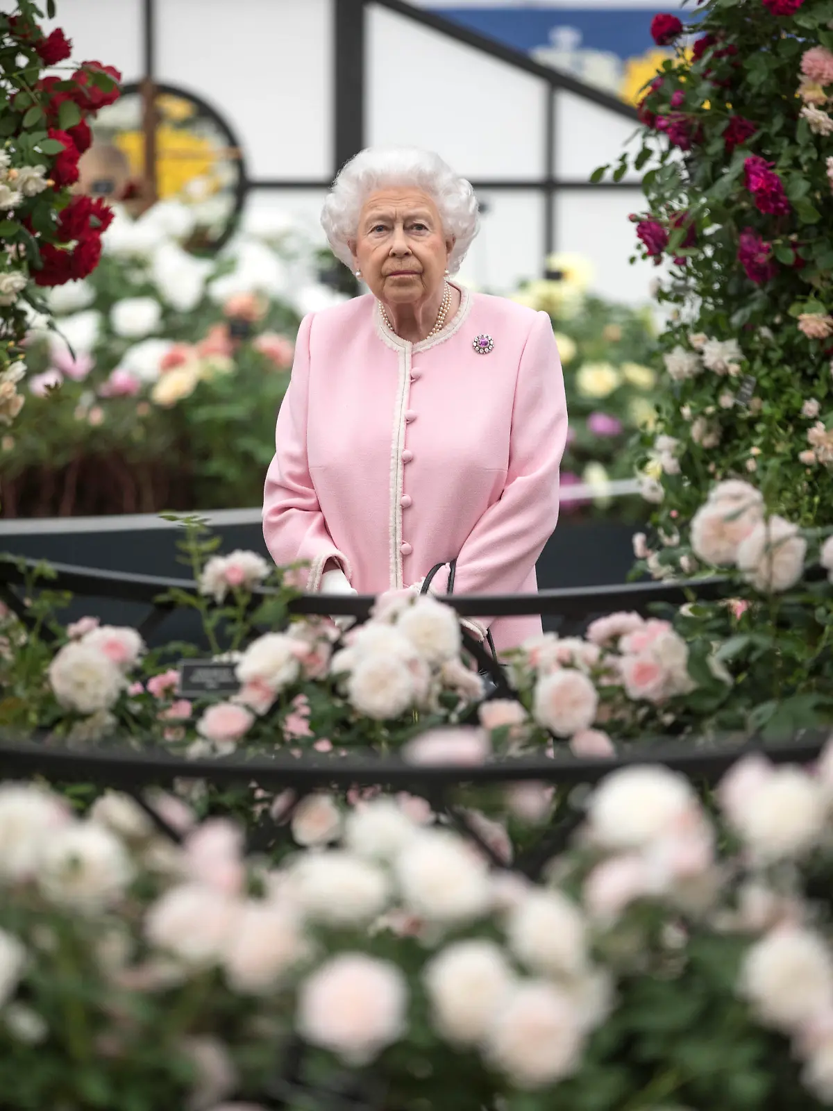 Bei der Chelsea Flower Show genießt die Queen den bunten Ausblick. Der Blick über den atlantischen Ozean erfüllt sie momentan mit Trauer, denn in den USA haben Familienmitglieder Elizabeths Haus des Rassismus beschuldigt.
