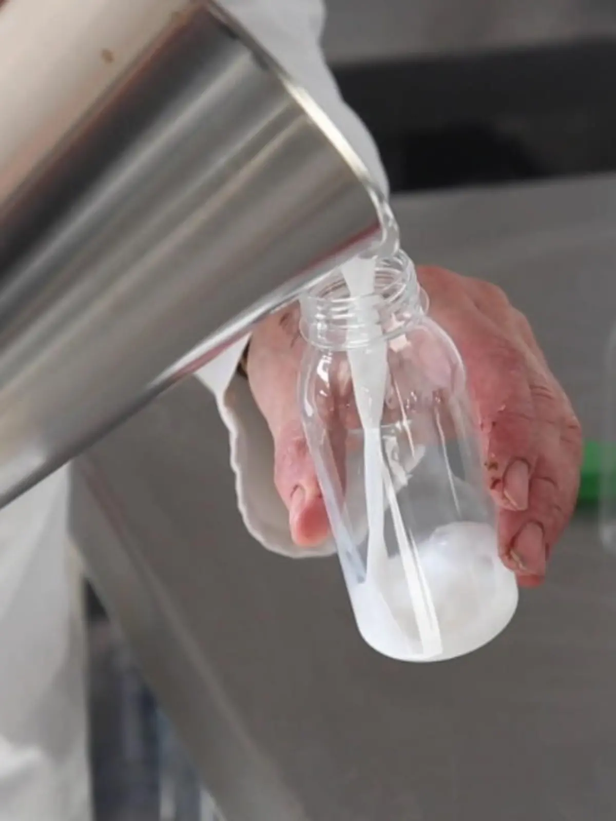 Bild zu: "Wird Stutenmilch die neue Hafermilch?"