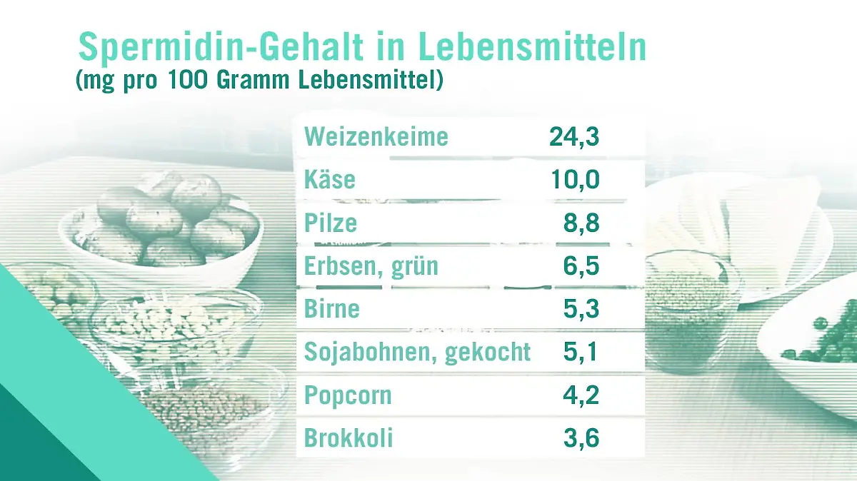 Liste mit Lebensmitteln mit hohem Spermidingehalt.