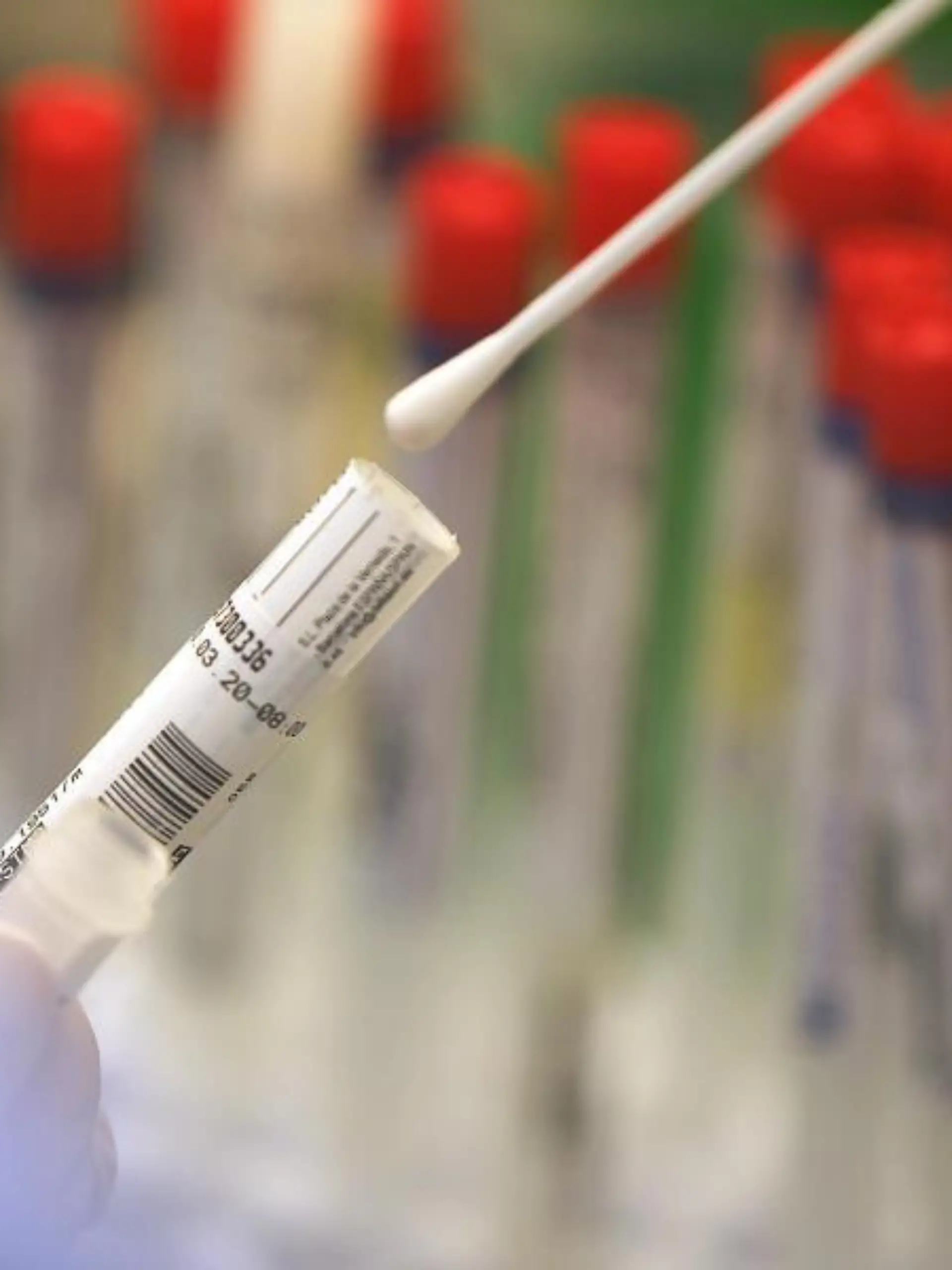 Coronavirus