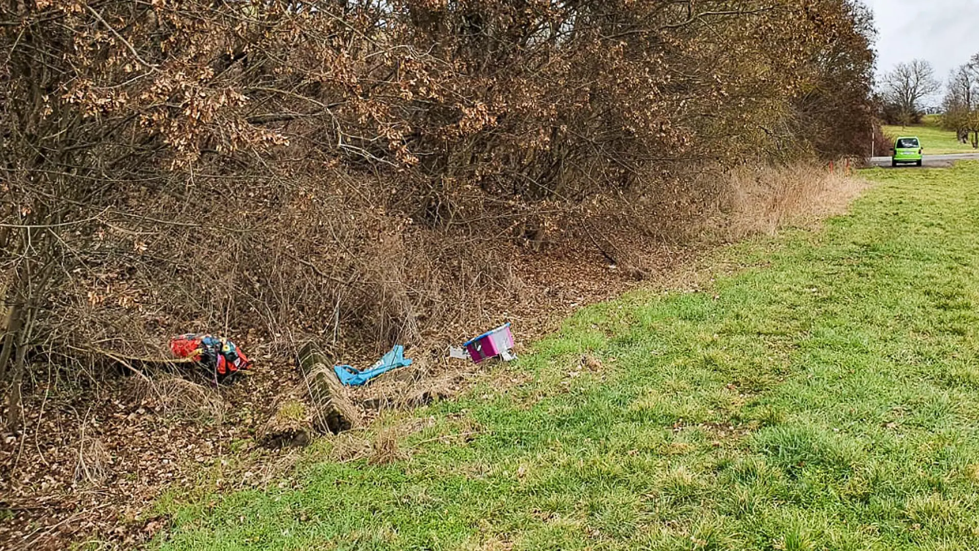 Einige Igel und andere kleinere Tiere wurden am Wegesrand abgelegt.