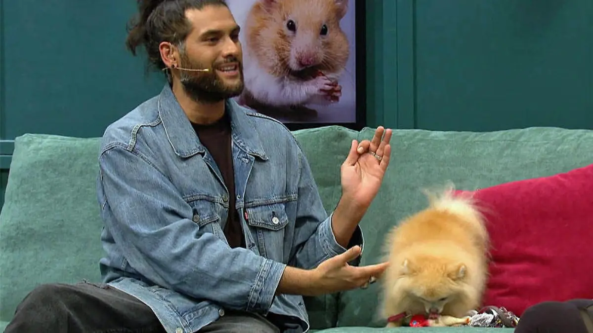 Hundeverhaltens-Therapeut Masih Samin erkennt sehr schnell, wo das Problem liegt.
