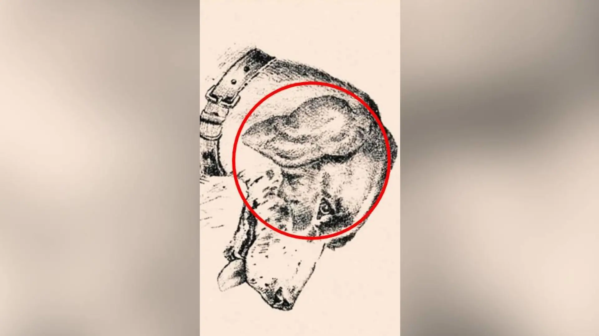 Da ist er ja! Der Mann, der sich perfekt versteckt hat.