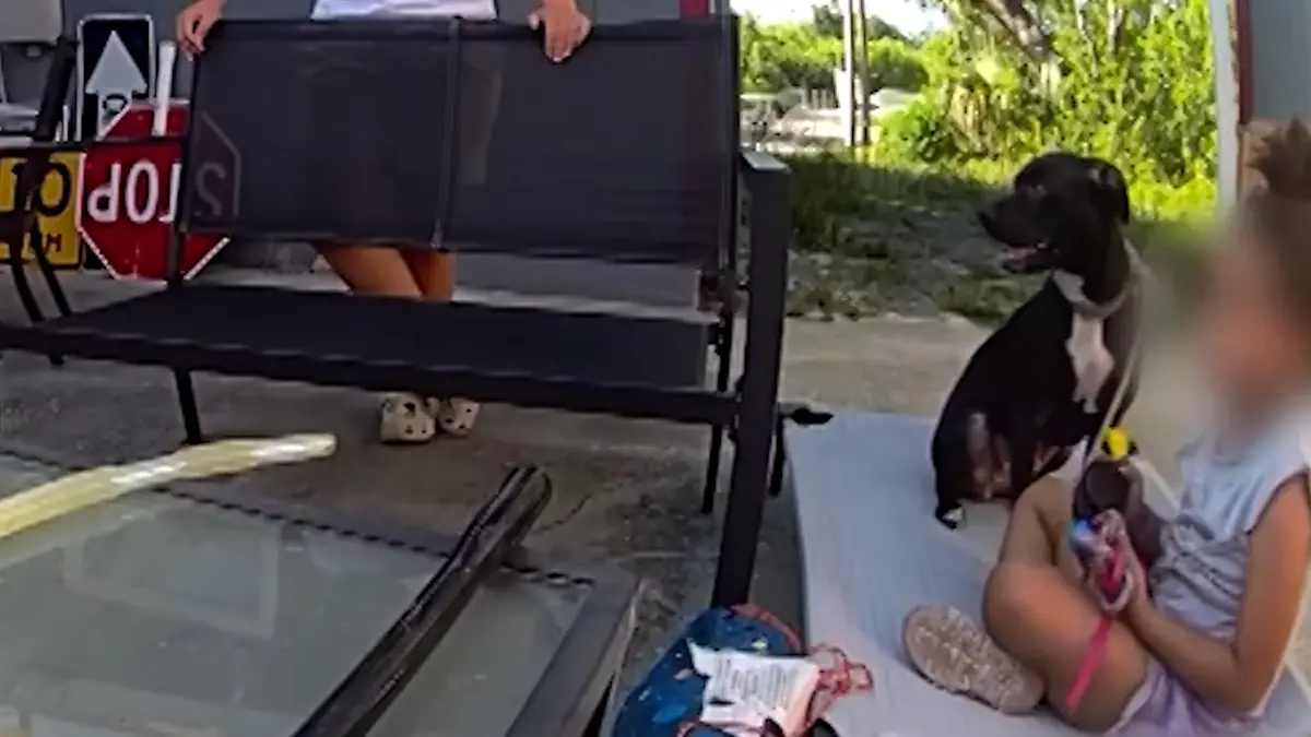 ärger Mit Nachbarn Wegen Hund