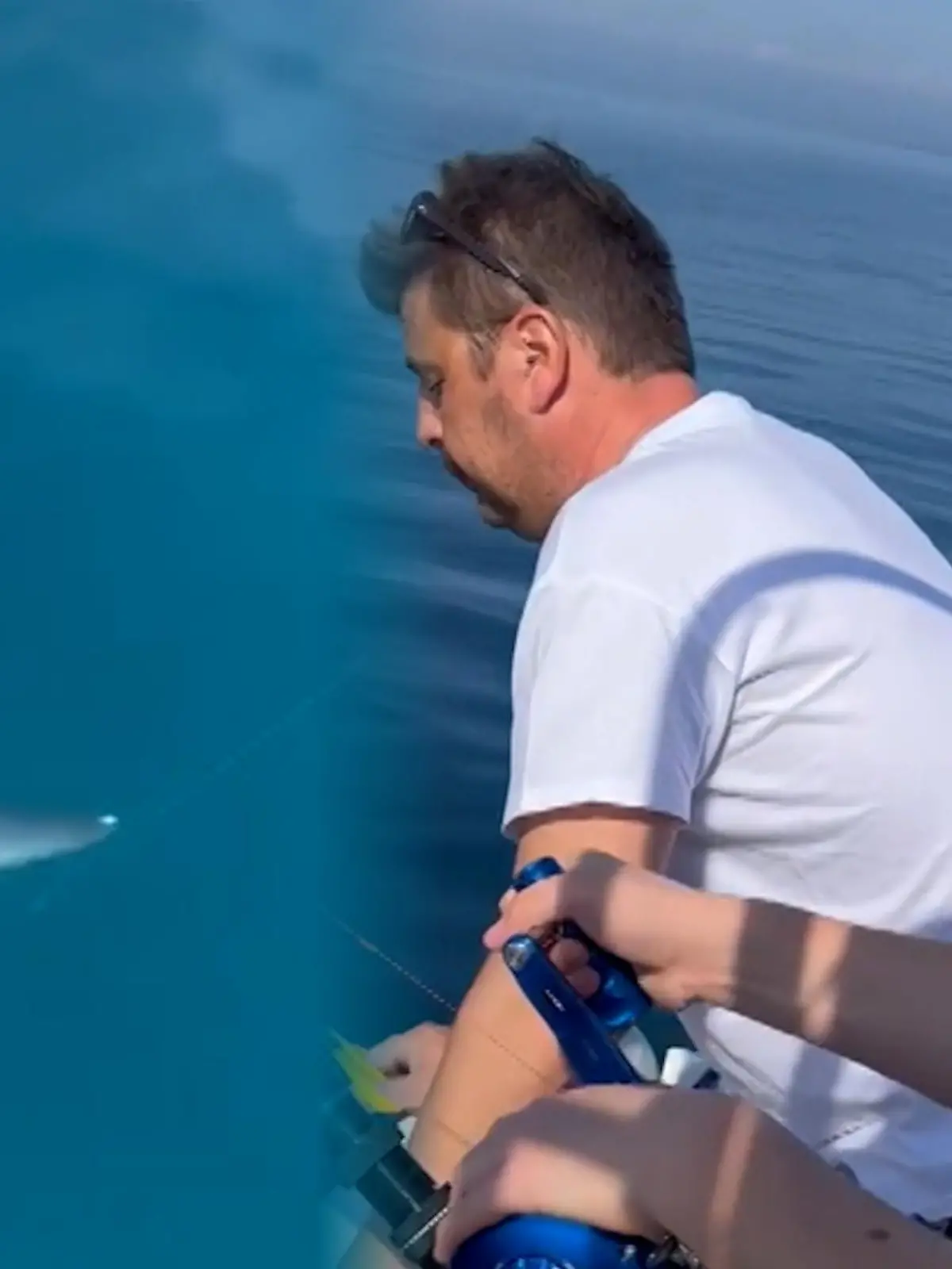 Im adriatischen Meer haben ein 13-jähriger Angler und dessen Papa einen sogenannten Fuchshai gefangen. Das Tier ist drei Meter lang und wiegt rund 100 Kilo. Nachdem sie den Hai gefilmt haben, lassen sie ihn wieder von der Angel.