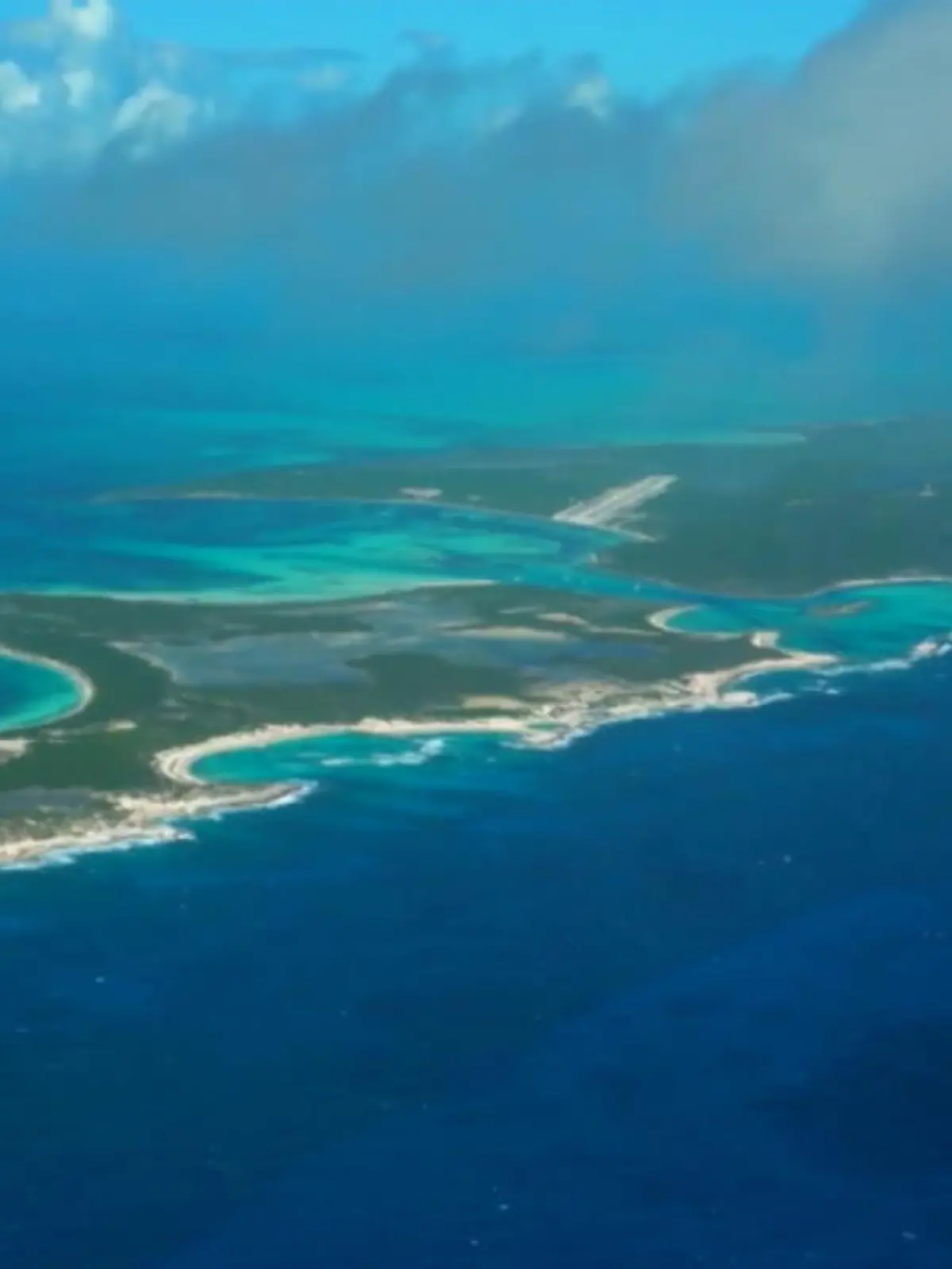 Bild zu: "Irre Auktion auf den Bahamas"