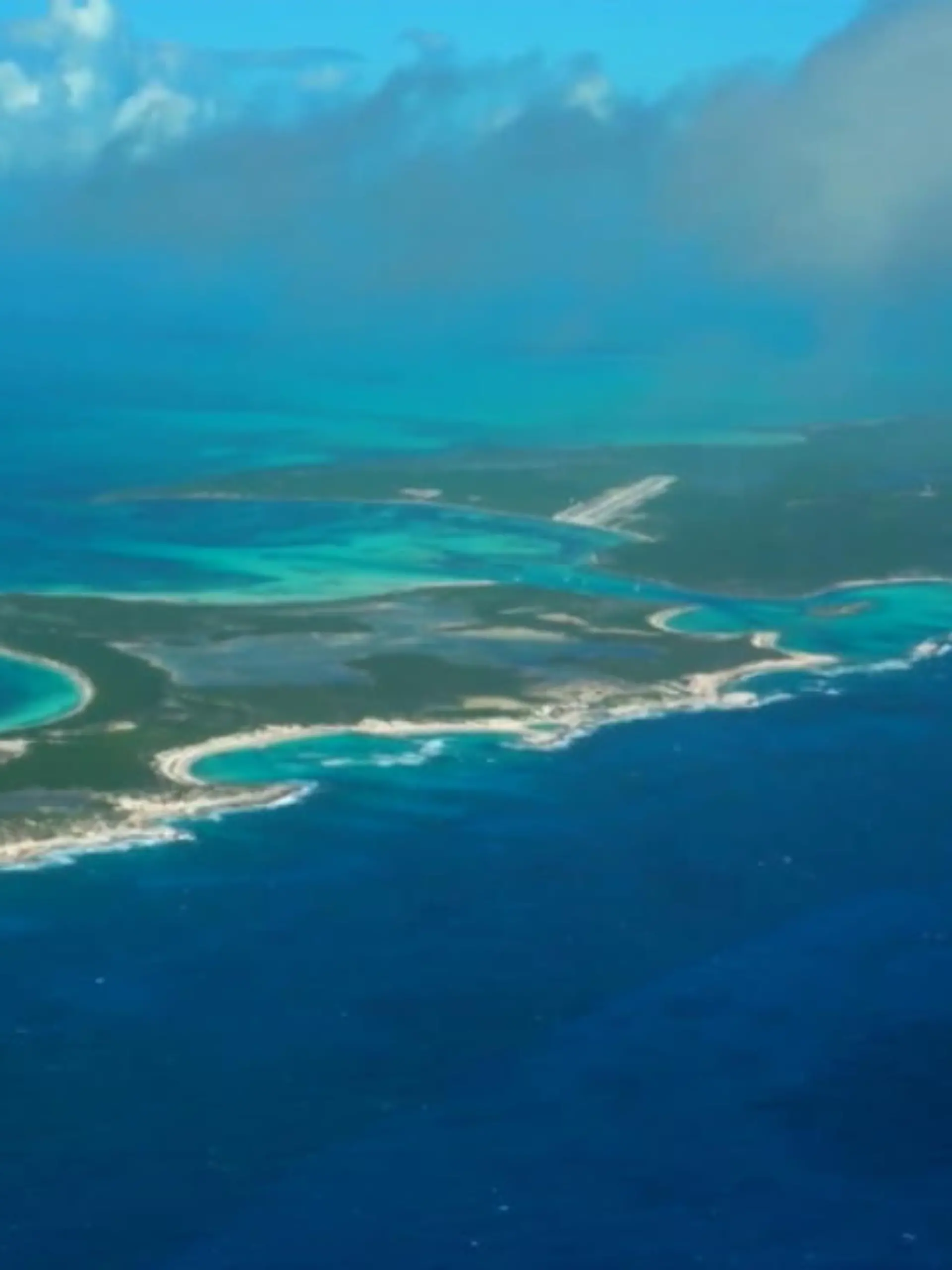 Bild zu: "Irre Auktion auf den Bahamas"