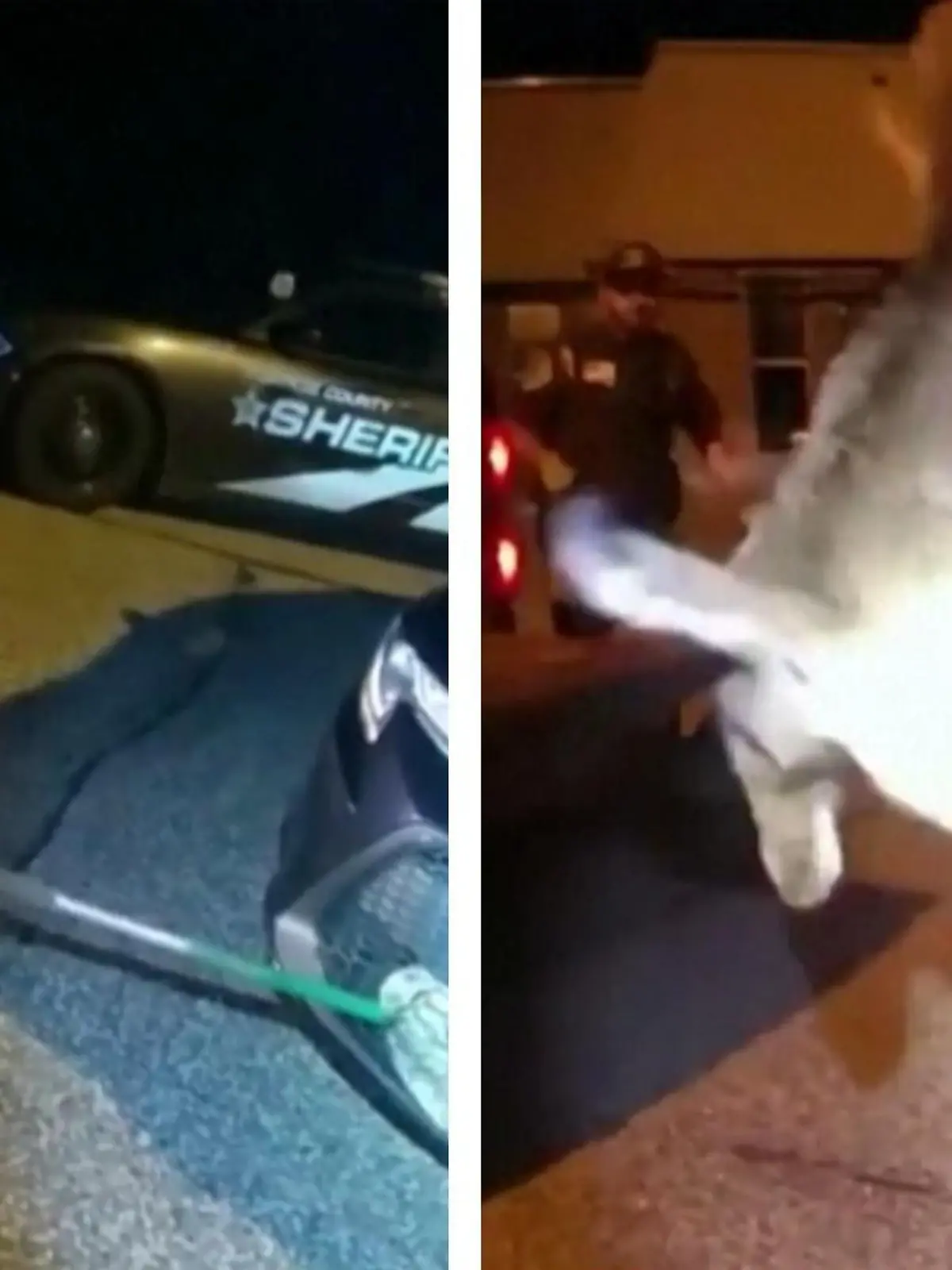 Polizeiruf wegen Raubkatze im Kühlergrill! Im US-Bundesstaat Wisconsin müssen Polizisten einen Rotluchs aus dem Inneren eines Auto holen. Das Tier ist davon nicht wirklich begeistert – und greift seine Retter an.