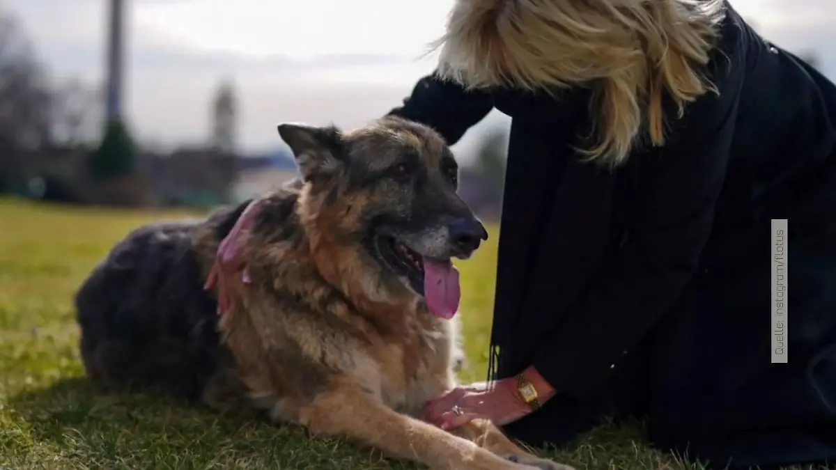 Endlich wieder Hunde im Weißen Haus First Dogs