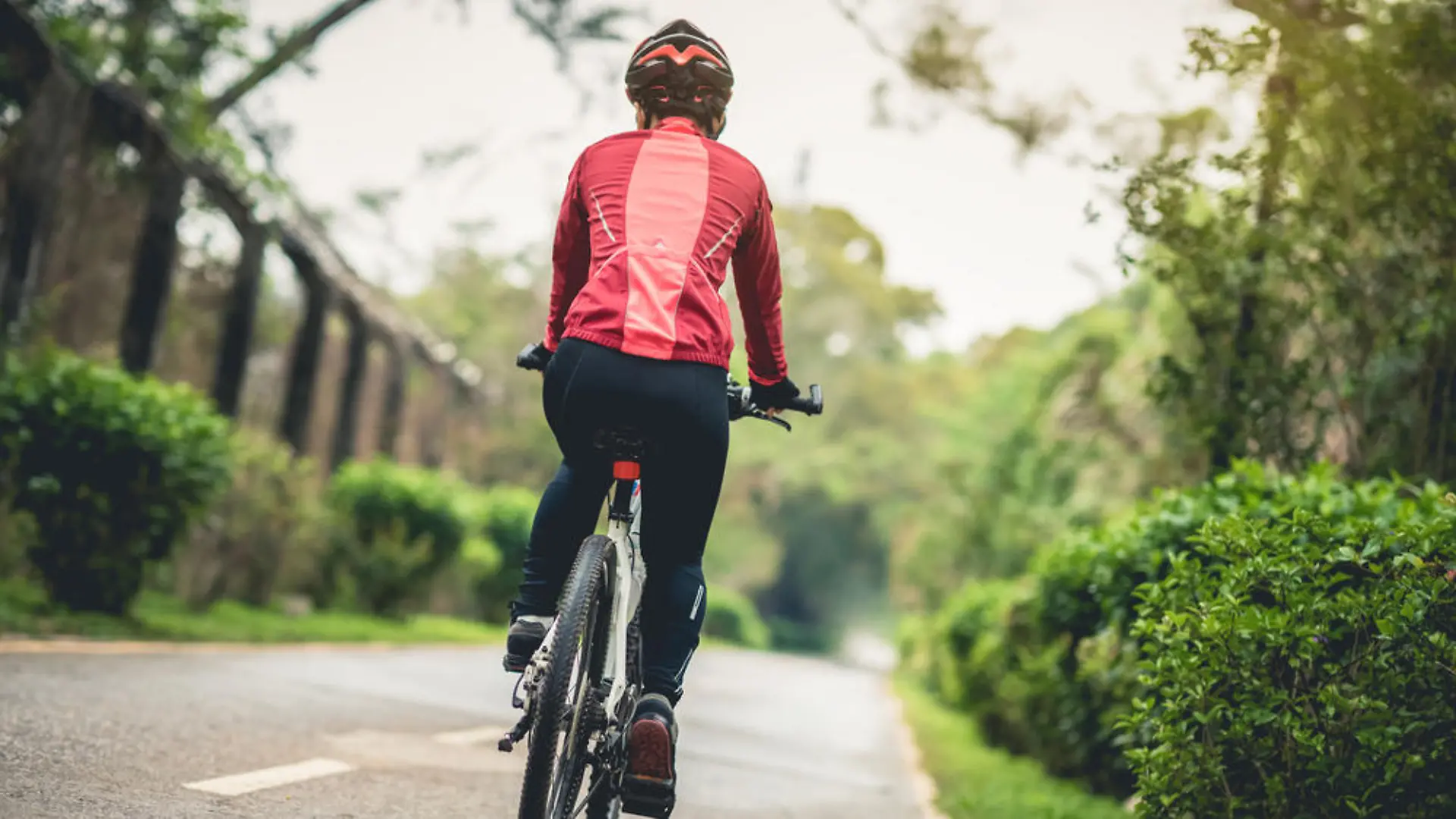Fettverbrennen beim Fahrradfahren? So funktioniert es