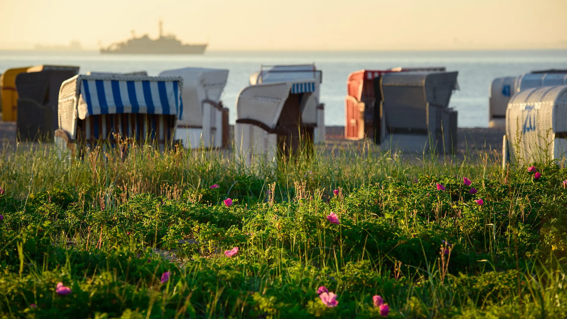 ARCHIV - 14.06.2021, Schleswig-Holstein, Kiel: Blumen und Gräser wachsen auf einem Strand in der Gemeinde Strande an der Ostsee. Im Hintergrund sind Strandkörbe und das Minenjagdboot Zierikzee der niederländischen Marine zu sehen. In den ersten Bundesländern haben die Sommerferien begonnen. Doch auch im zweiten Corona-Sommer wollen viele Menschen lieber Urlaub in Deutschland als im Ausland machen.(zu dpa "Urlaub trotz Corona - Das ist in den Bundesländern möglich") Foto: Gregor Fischer/dpa +++ dpa-Bildfunk +++