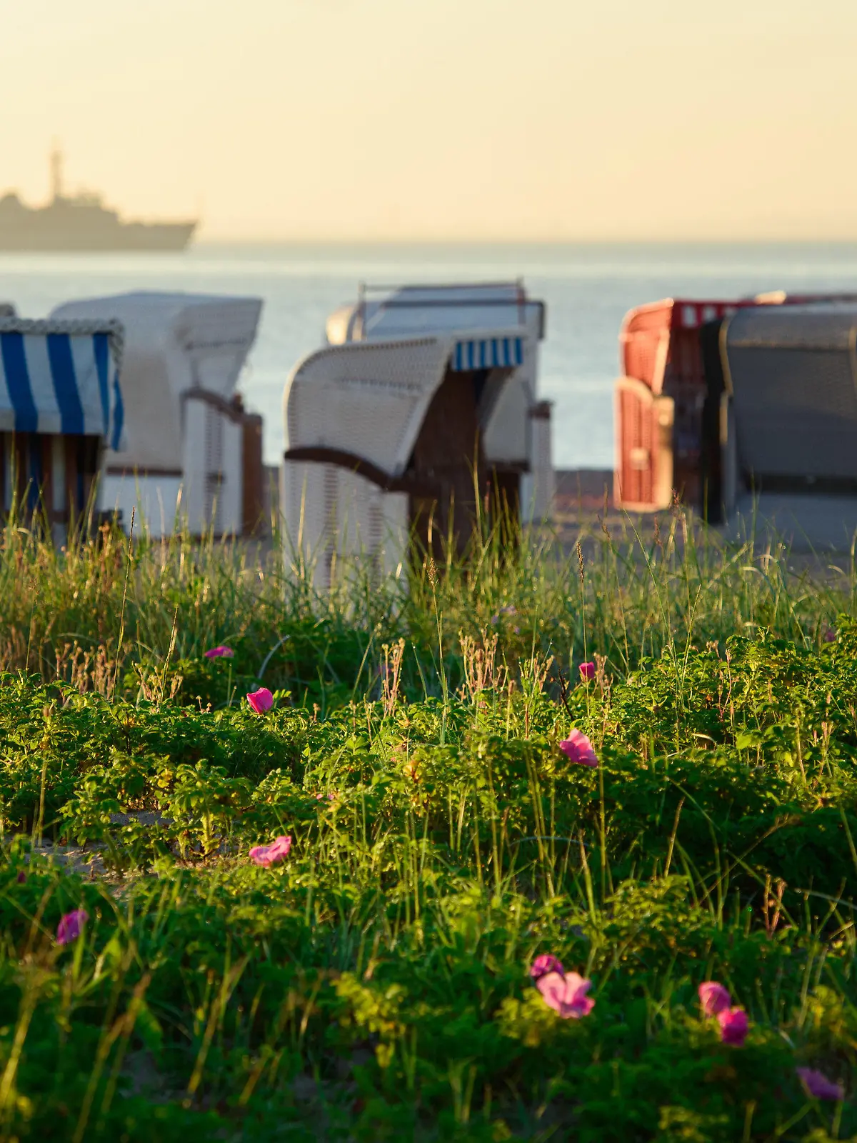 ARCHIV - 14.06.2021, Schleswig-Holstein, Kiel: Blumen und Gräser wachsen auf einem Strand in der Gemeinde Strande an der Ostsee. Im Hintergrund sind Strandkörbe und das Minenjagdboot Zierikzee der niederländischen Marine zu sehen. In den ersten Bundesländern haben die Sommerferien begonnen. Doch auch im zweiten Corona-Sommer wollen viele Menschen lieber Urlaub in Deutschland als im Ausland machen.(zu dpa "Urlaub trotz Corona - Das ist in den Bundesländern möglich") Foto: Gregor Fischer/dpa +++ dpa-Bildfunk +++