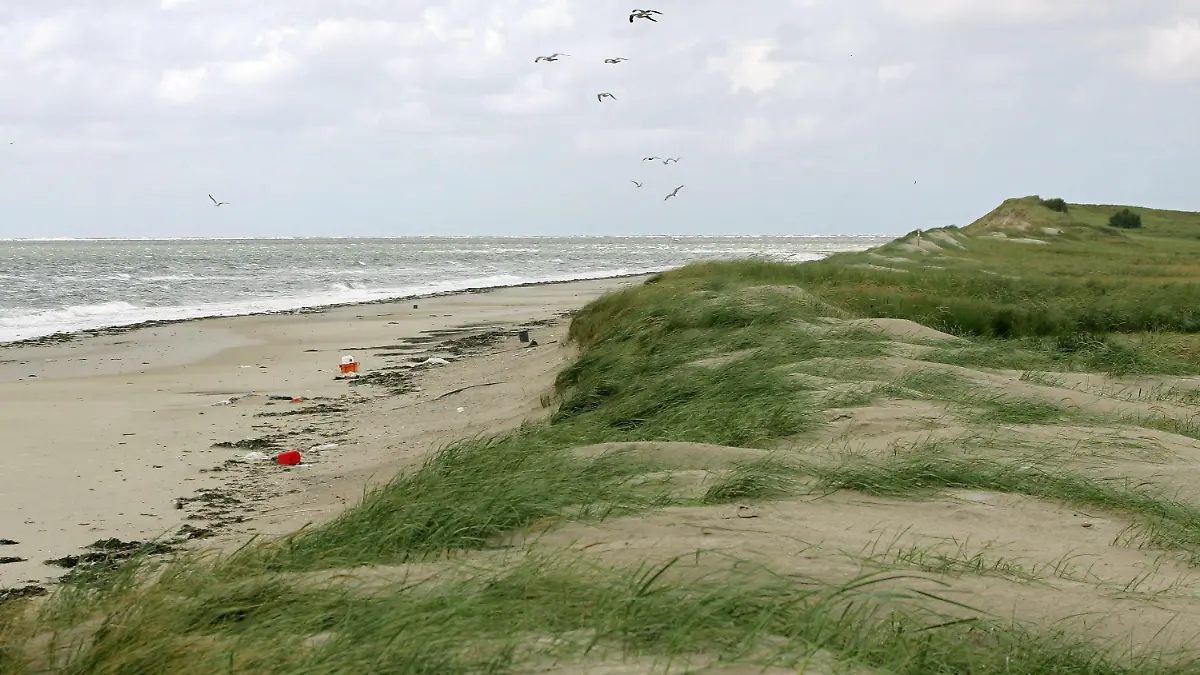 Auf der Vogelschutzinsel Memmert bei Juist (Kreis Aurich) liegt angeschwemmter Plastikmüll am Strand (Aufnahme vom 26.08.2005). Trotz Schutzmaßnahmen ist die Nordsee gerade in der Deutschen Bucht immer noch stark mit Müll belastet. Relativ lange bleibt der Müll besonders auf den Stränden, der für den öffentlichen Zugang gesperrten Vogelschutzinseln, wie Mellum, Minsener Oog und Memmert, liegen. Foto: Ingo Wagner dpa/lni (Zu dpa-KORR "In der Nordsee treibt der Müll" vom 11.03.2008) +++(c) dpa - Bildfunk+++
