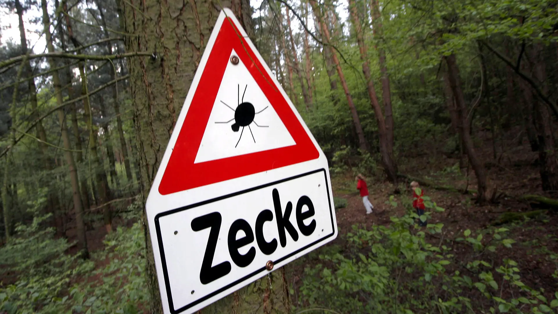 Ein Warnschild mit der Aufschrift "Zecke" hängt an einem Baum im Wald bei Rodgau Nieder-Roden im Landkreis Offenbach (Bild vom 27.04.2005). Das hessische Risikogebiet für die von Zecken übertragene Hirnhautentzündung FSME ist größer geworden. Das Berliner Robert Koch-Institut (RKI) stuft inzwischen auch den Landkreis Offenbach als FSME-Risikoregion ein. Die anderen vier Risikogebiete in Hessen sind die Kreise Marburg-Biedenkopf, Darmstadt-Dieburg, Bergstraße und Odenwald. Foto: Frank Rumpenhorst dpa/lhe +++(c) dpa - Report+++