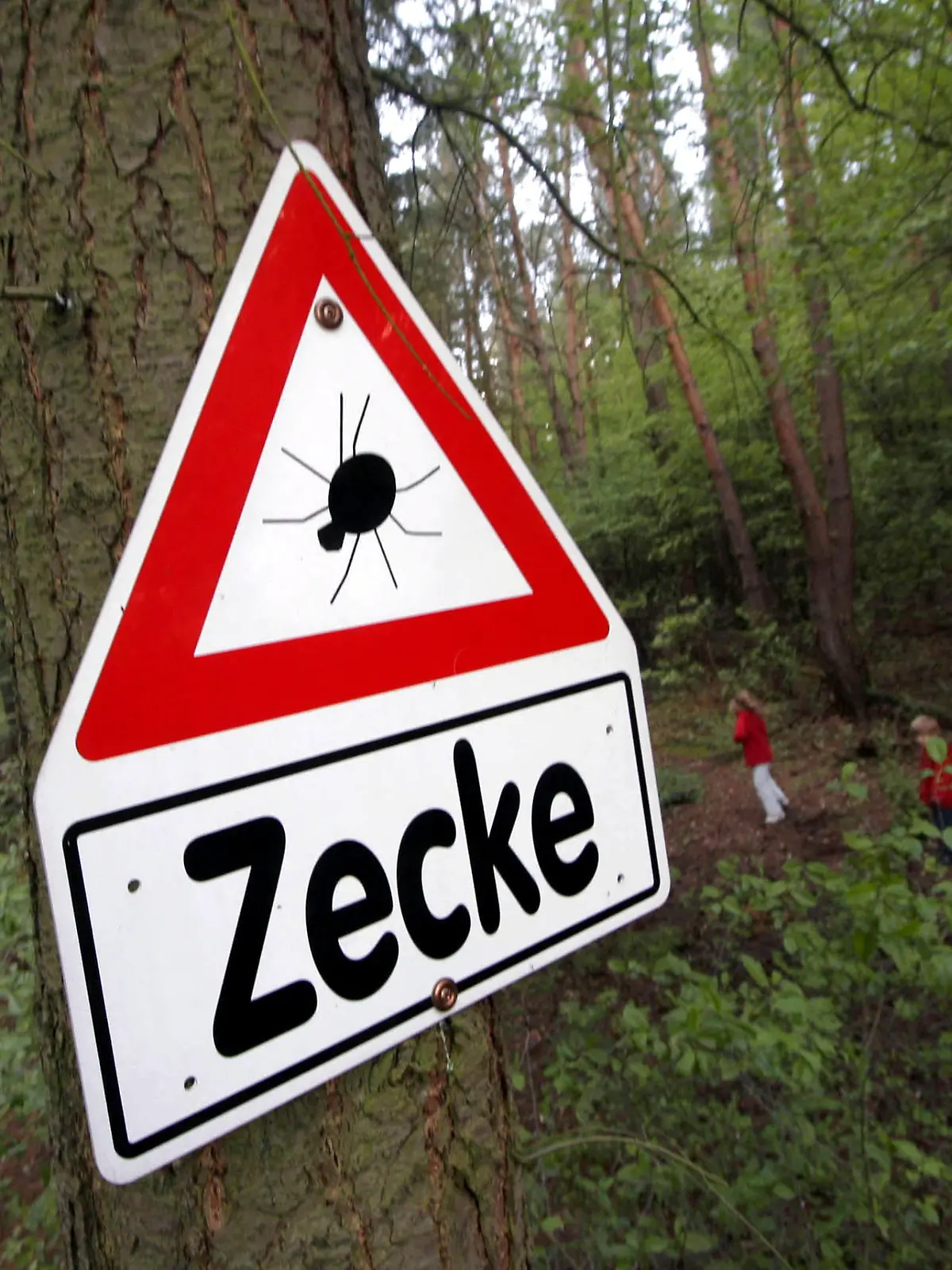 Ein Warnschild mit der Aufschrift "Zecke" hängt an einem Baum im Wald bei Rodgau Nieder-Roden im Landkreis Offenbach (Bild vom 27.04.2005). Das hessische Risikogebiet für die von Zecken übertragene Hirnhautentzündung FSME ist größer geworden. Das Berliner Robert Koch-Institut (RKI) stuft inzwischen auch den Landkreis Offenbach als FSME-Risikoregion ein. Die anderen vier Risikogebiete in Hessen sind die Kreise Marburg-Biedenkopf, Darmstadt-Dieburg, Bergstraße und Odenwald. Foto: Frank Rumpenhorst dpa/lhe +++(c) dpa - Report+++