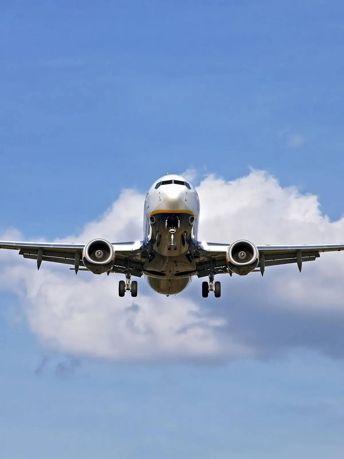Flugzeug im Landeanflug, Flughafen Köln-Bonn, Köln Bonn Airport, Köln, Nordrhein-Westfalen, Deutschland, Europa | Verwendung weltweit, Keine Weitergabe an Wiederverkäufer.
