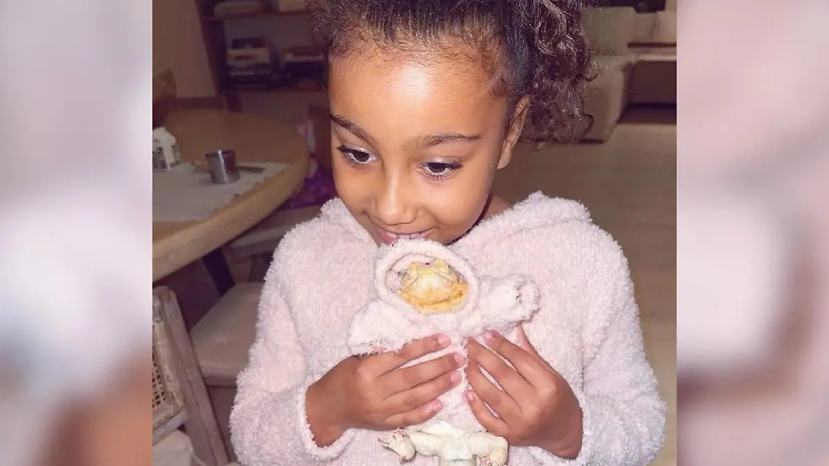 North West ist jetzt Echsen-Mama Im siebten Haustier-Himmel