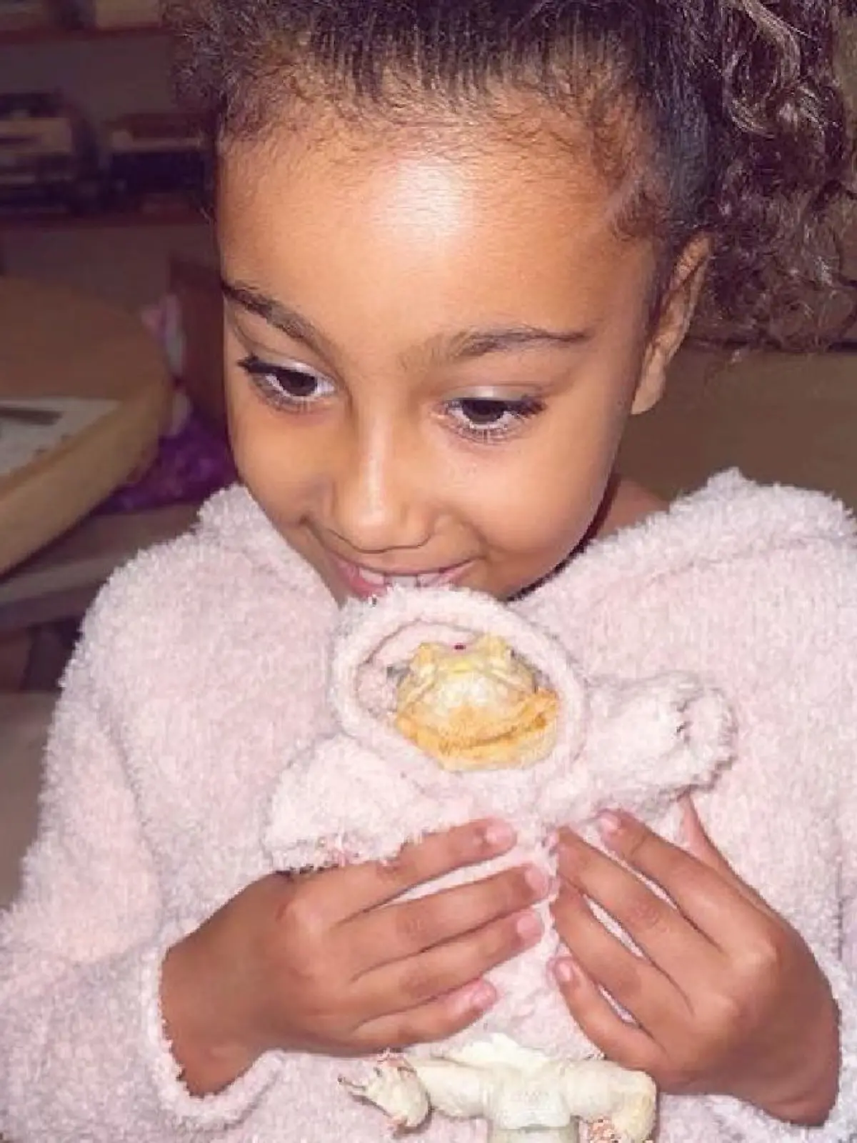 Bild zu: "North West ist jetzt Echsen-Mama"