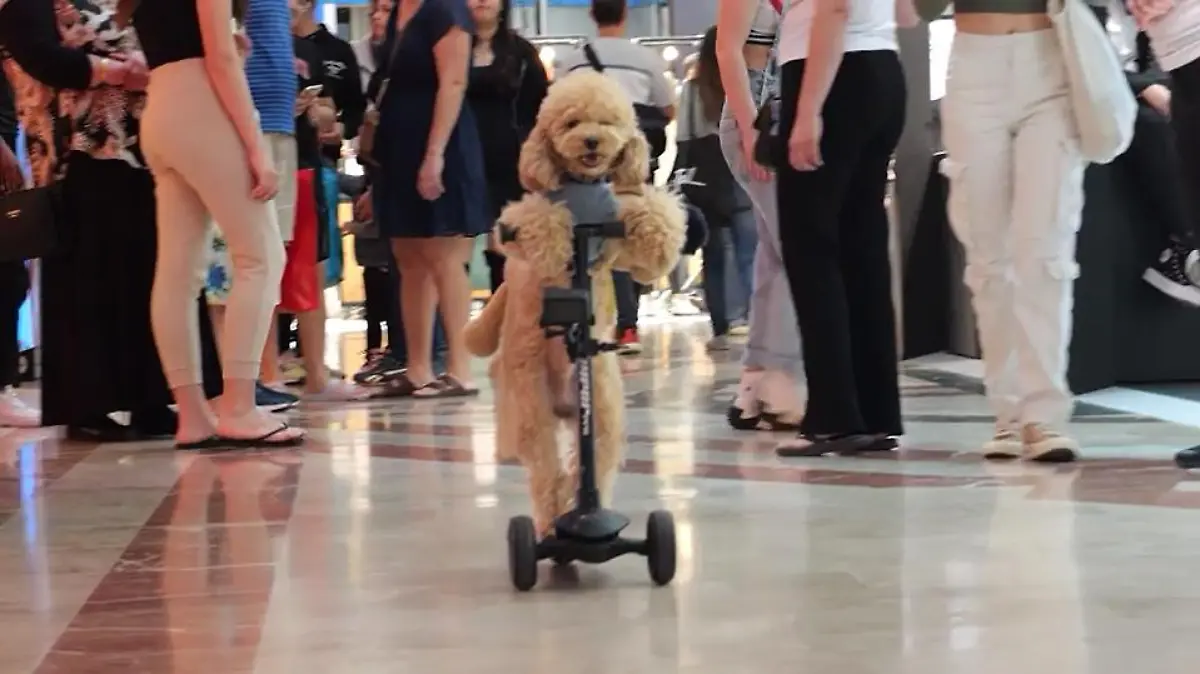 Tommy auf seinem Tretroller in einem Einkaufszentrum in Tel Aviv.