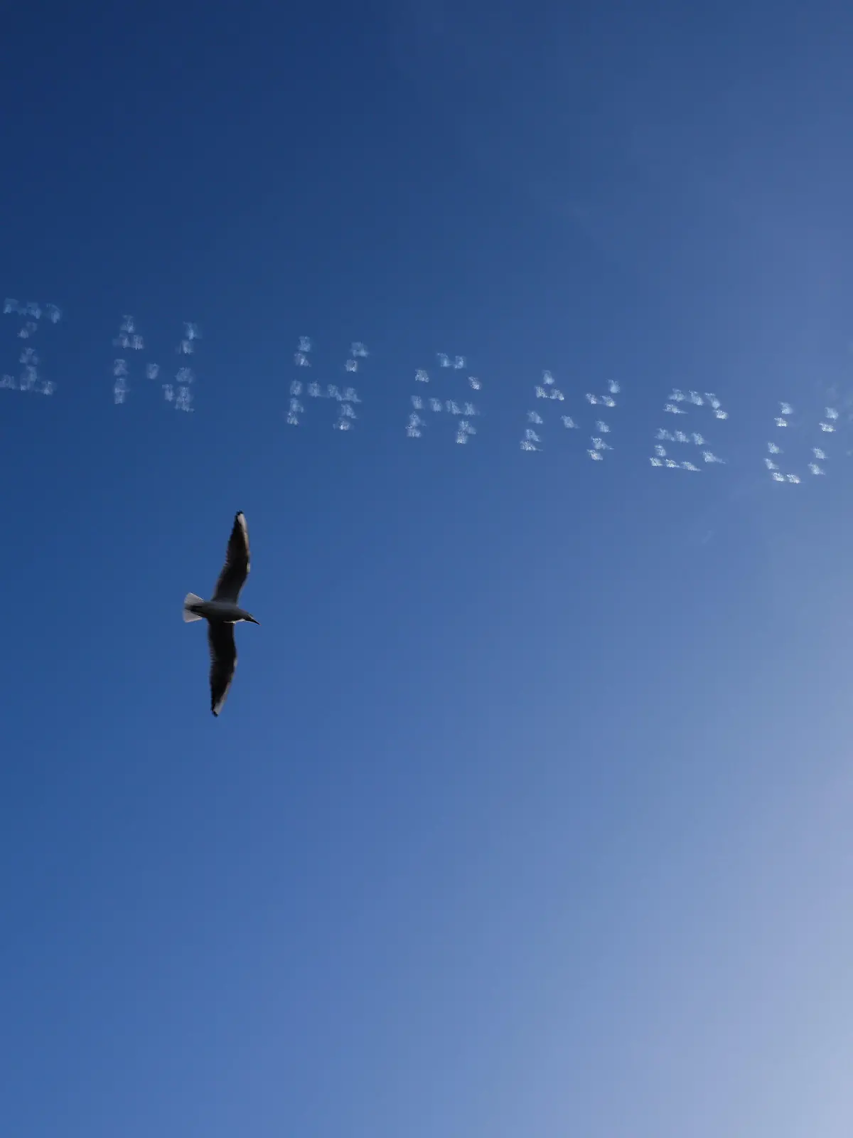 01.03.2021, Hamburg: Der Schriftzug «Moin Hamburg» ist am Himmel über der Reeperbahn zu lesen. Im Rahmen einer Werbeaktion für einen Streamingdienst flogen 5 Flugzeuge in einer Höhe von ungefähr 3.000 Metern und schrieben Worte in den Himmel. Foto: Christian Charisius/dpa +++ dpa-Bildfunk +++