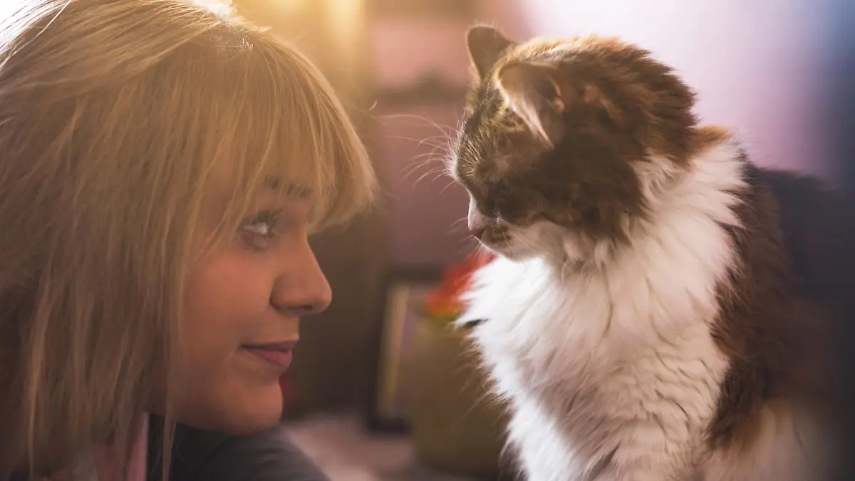 Frau und ihre Katze blicken sich an.