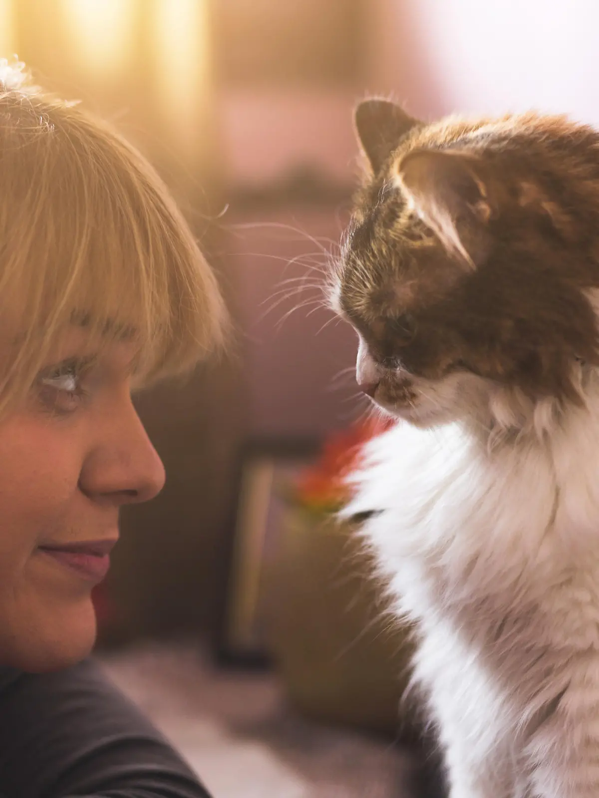 Frau und ihre Katze blicken sich an.