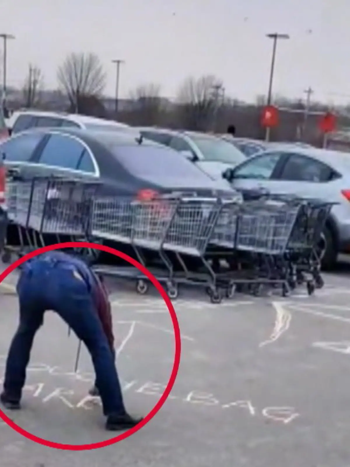 Bild zu: "Falschparker mit Einkaufswagen umstellt"