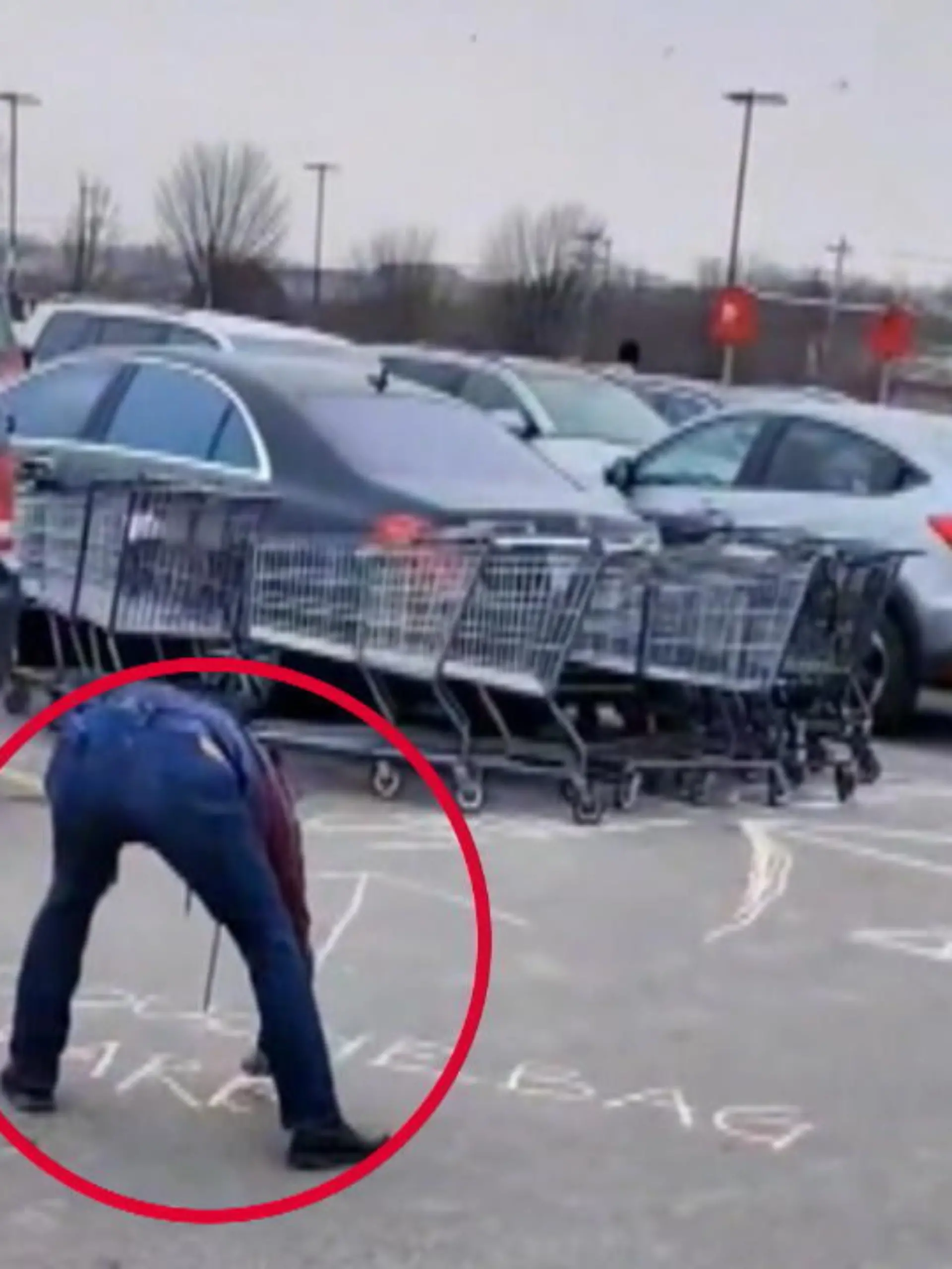 Bild zu: "Falschparker mit Einkaufswagen umstellt"