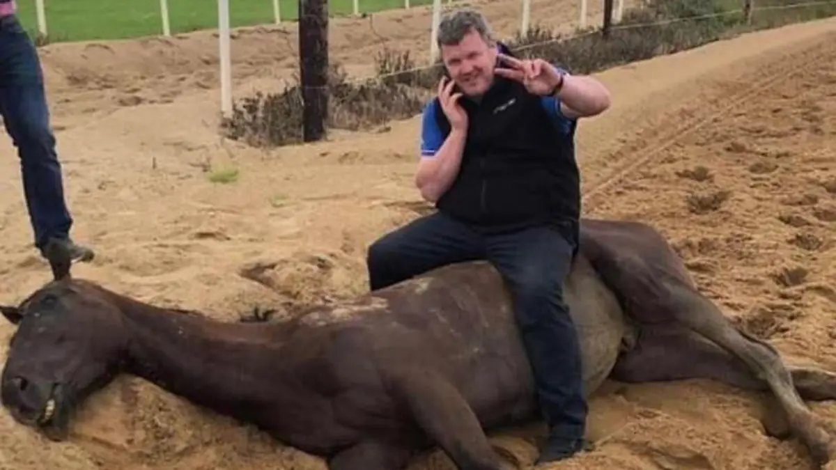 Gordon Elliott