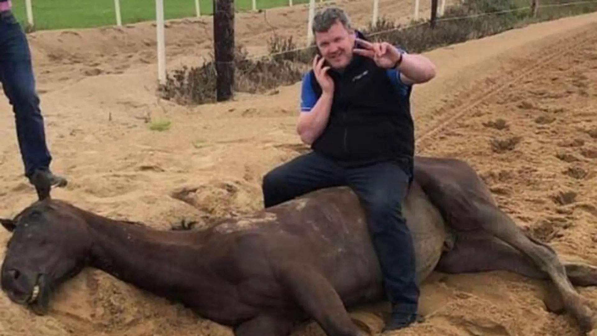 Gordon Elliott