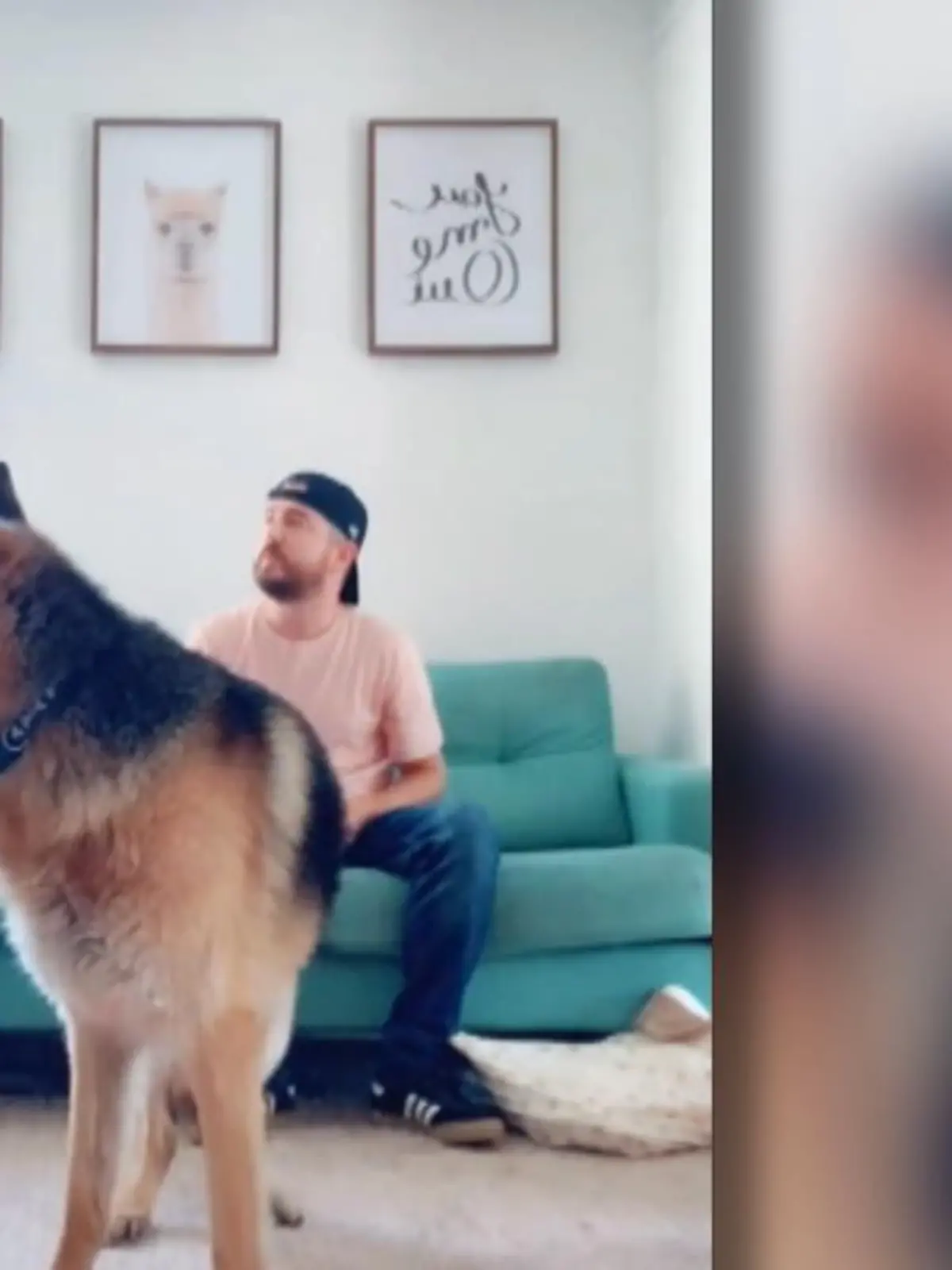 Was passiert eigentlich, wenn man seinen Hund ruft, obwohl der direkt neben einem liegt? Genau das probieren gerade Tausende TikTok-Nutzer aus.
