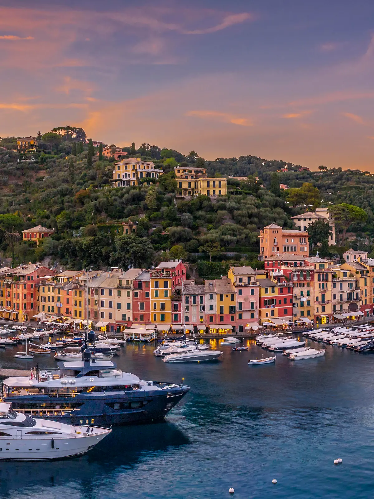 Panorama Portofinos