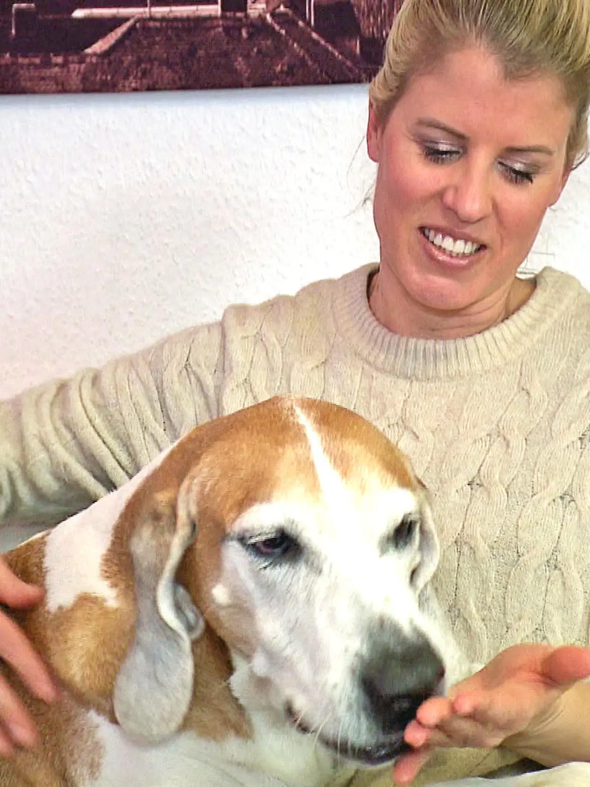„Ich habe meinen Hund erst gerettet und dann mit ihm die Alpen überquert“ – was Tierärztin Dr. Tanja Pollmüller aus der RTL-„Haustiershow“ uns erzählt, klingt fast wie aus einem Abenteuerfilm. Wir haben sie Zuhause besucht und in unserem Video verrät sie, warum die Beziehung zwischen ihr und ihrem Poldi so besonders ist.