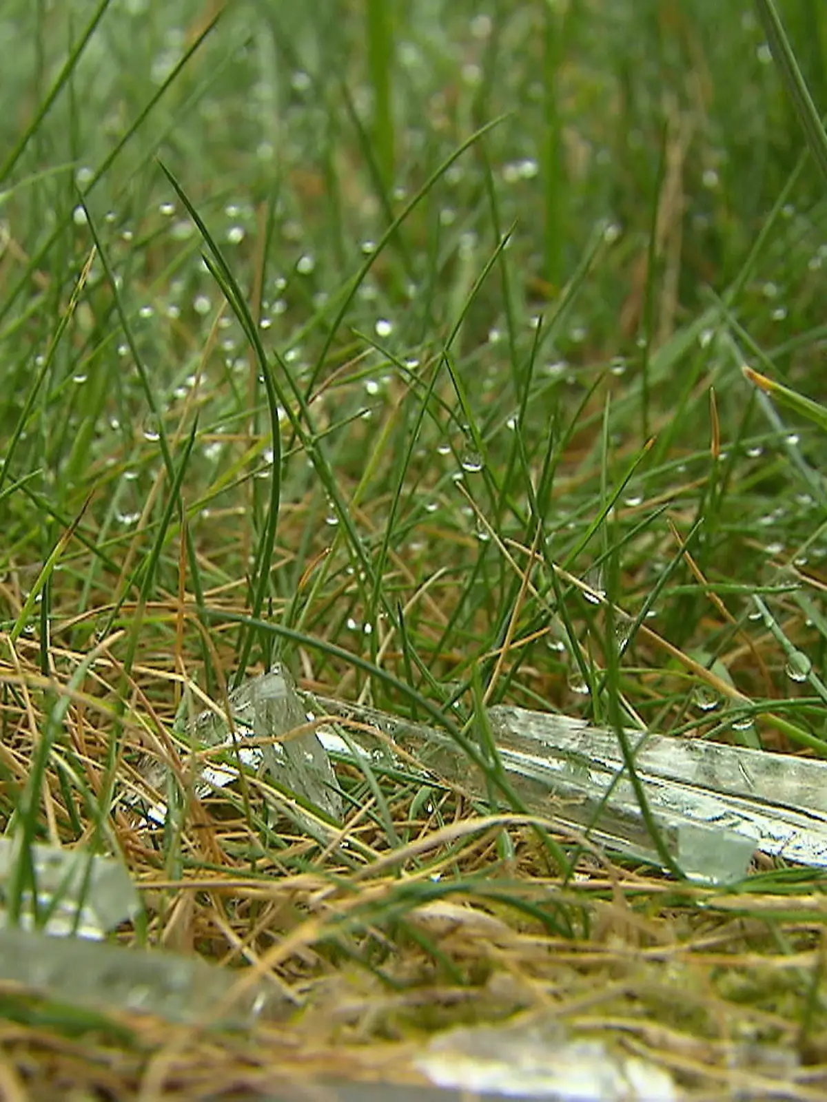 Bild zu: "Nachbarn fühlen sich belästigt"