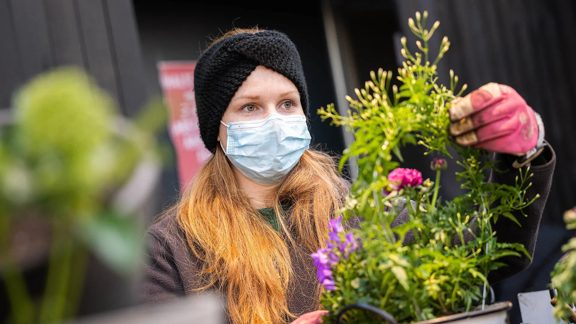 13.02.2021, Niedersachsen, Oldenburg: Alexandra Stahnke, Mitarbeiterin im Oldenburger Wohngarten, bereitet einen Blumentopf für den Verkauf vor. Foto: Mohssen Assanimoghaddam/dpa +++ dpa-Bildfunk +++