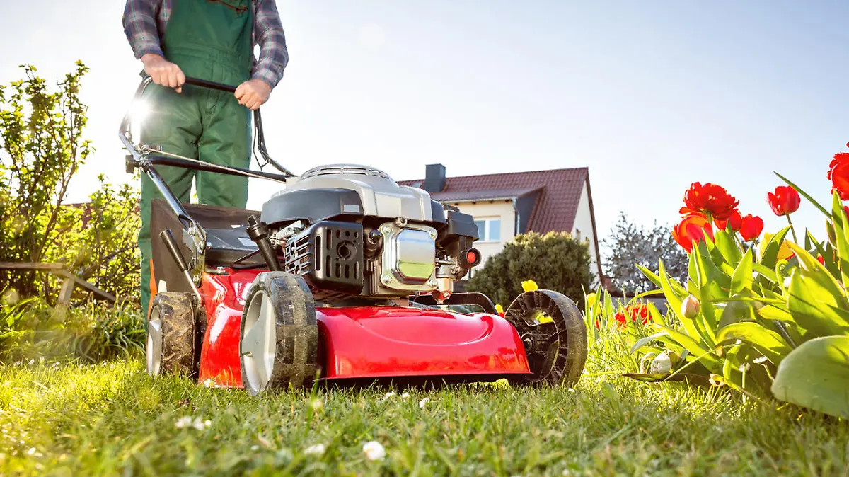 Lawn mower in a garden with green grass and red flowers. Sunny spring time weather.