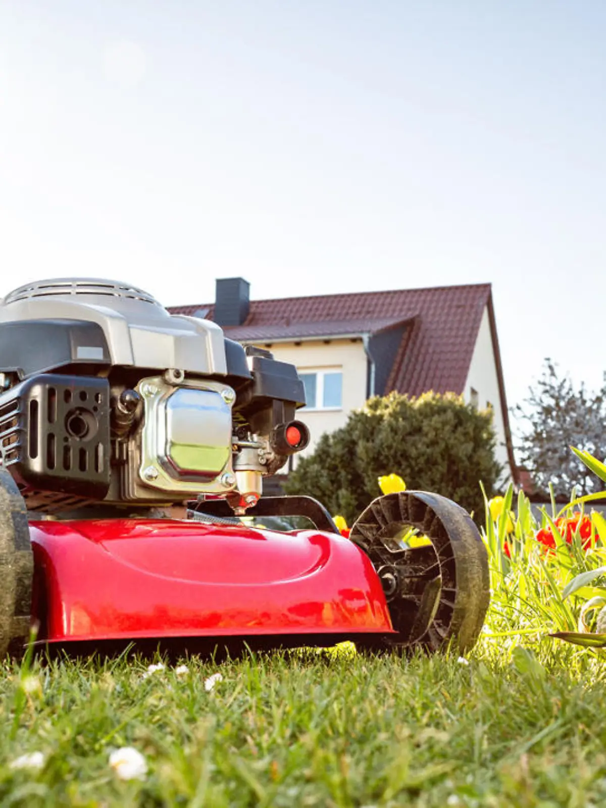 Lawn mower in a garden with green grass and red flowers. Sunny spring time weather.