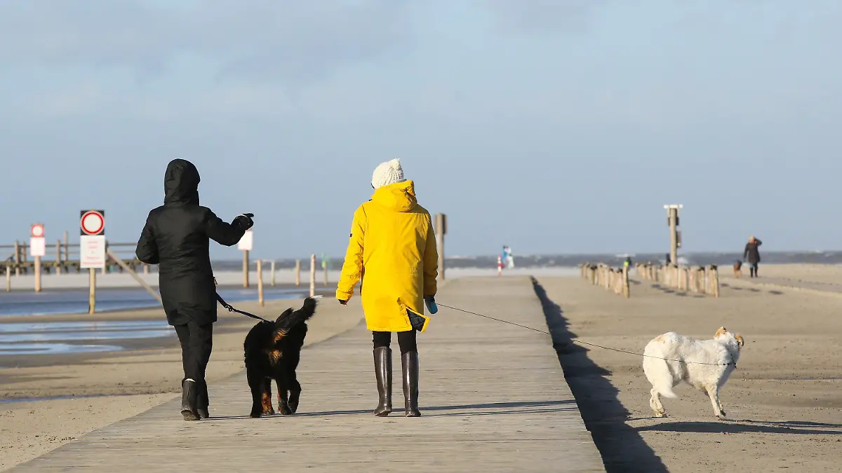 21.01.2021, Schleswig-Holstein, St. Peter Ording: Passanten sind bei Sonne und stürmischem Wetter an der Nordsee in St. Peter Ording unterwegs. Ein Orkantief bringt laut Deutschem Wetterdienst (DWD) am 21.01.2021 besonders an die Nordseeküste schwere Sturmböen. Foto: Bodo Marks/dpa +++ dpa-Bildfunk +++
