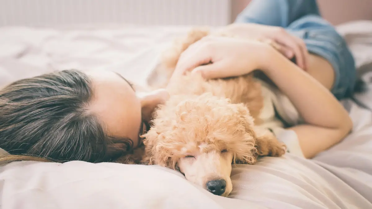 Frau kuschelt mit Hund im Bett