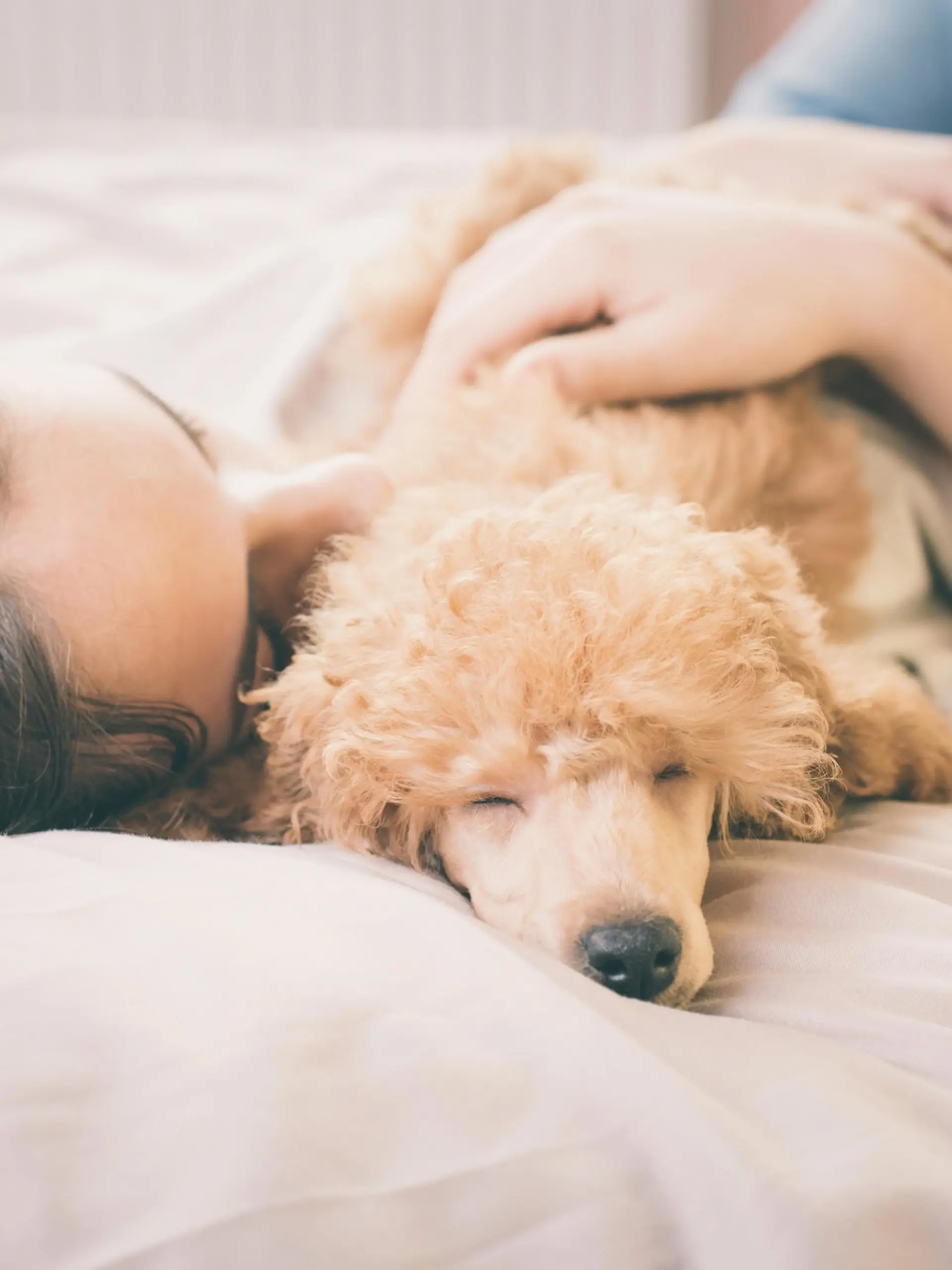 Frau kuschelt mit Hund im Bett