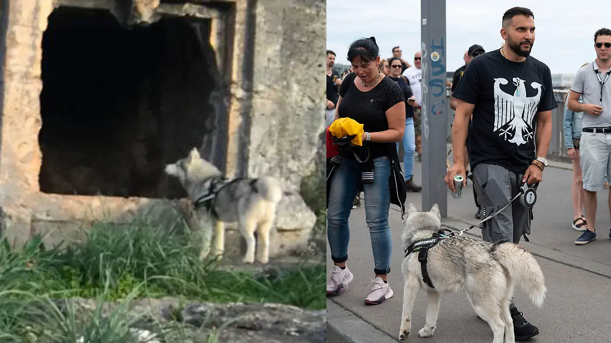 Demonstration gegen Corona-Einschränkungen - Attila Hildmann mit Hund