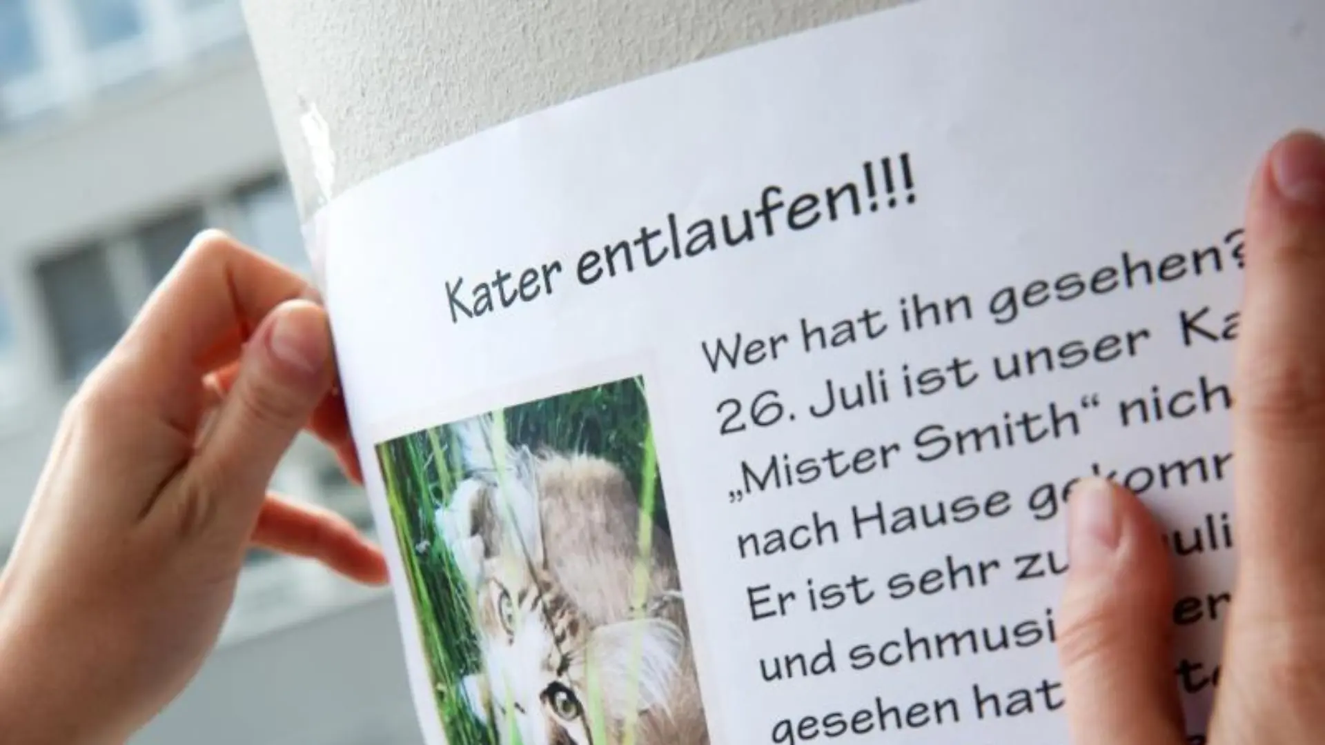 Suchplakat