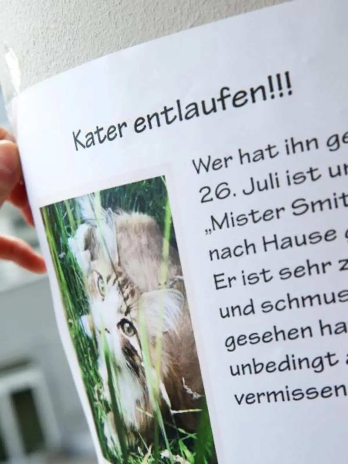 Suchplakat