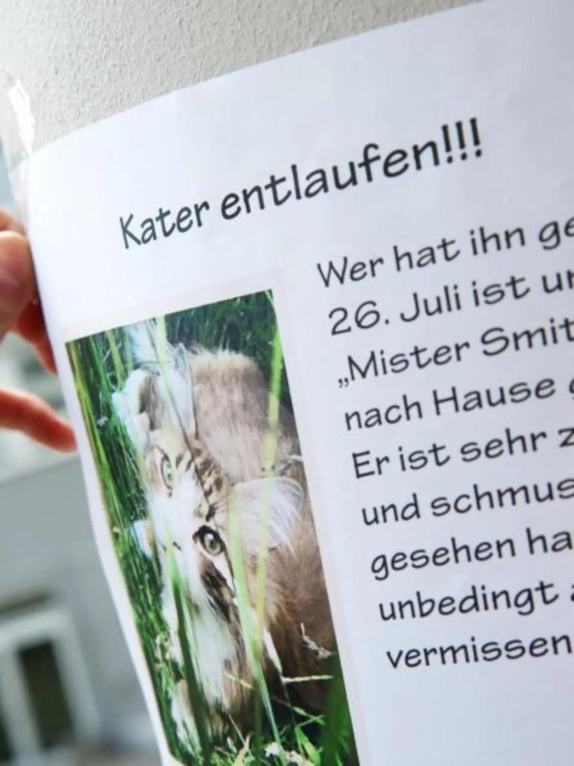 Suchplakat