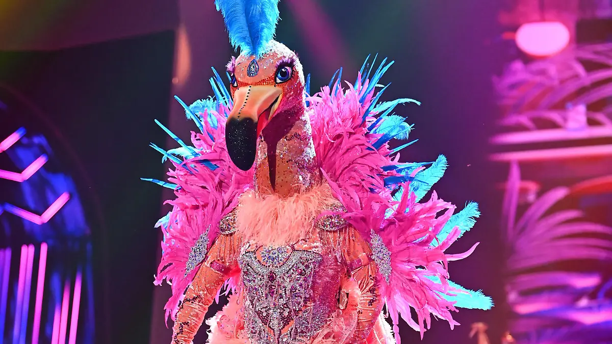 HANDOUT - 16.02.2021, Nordrhein-Westfalen, Köln: Die Figur «Flamingo» tritt in der ersten Folge der vierten Staffel der ProSieben-Show «The Masked Singer» auf. Bei «The Masked Singer» singen Prominente in aufwendigen Bühnenkostümen um die Wette. Foto: Willi Weber/ProSieben/dpa - ACHTUNG: Nur zur redaktionellen Verwendung im Zusammenhang mit einer Berichterstattung über die Sendung und nur mit vollständiger Nennung des vorstehenden Credits. Das Foto darf nicht verändert und nur im vollen Ausschnitt verwendet werden. Keine Archivierung +++ dpa-Bildfunk +++
