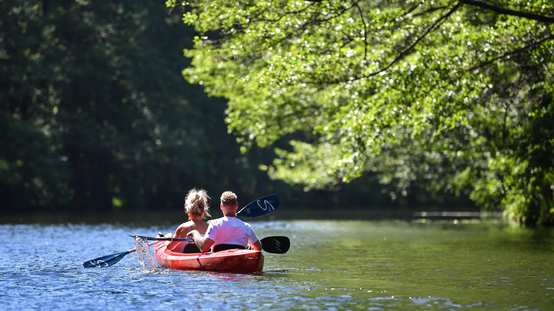 Touristen fahren in einem Paddelboot am 01.06.2017 über ein Spreewaldfließ in Lübben (Brandenburg). Foto: Patrick Pleul/dpa-Zentralbild/ZB | Verwendung weltweit